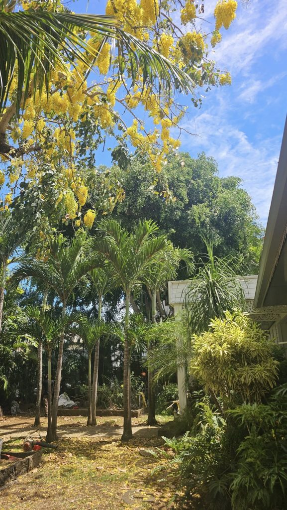 Espaces verts rivière 2